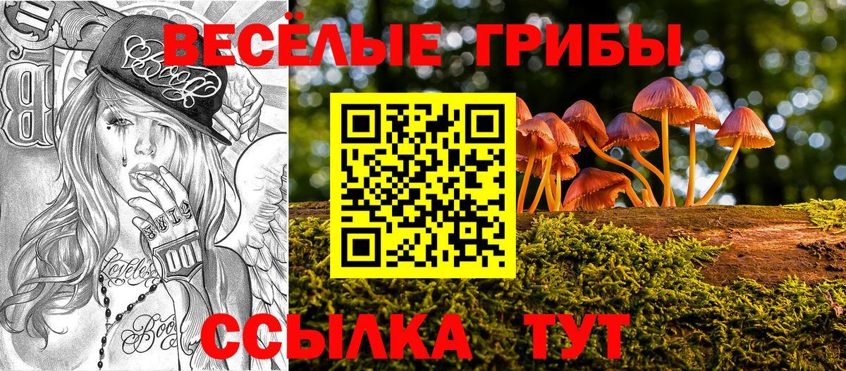 Новосибирск  Псилоцибиновые грибы Cubensis  Вход с VPN  Псилоцибиновые грибы Magic Shrooms 